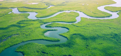 Rewolucjonizowanie nawadniania w rolnictwie: rola rur i kształtek z PVC